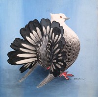 Shahjahan, 10 x 10 Inch, Acrylic on Card Board, Pigeon Painting, AC-SHJ-034